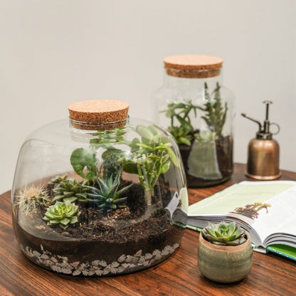 Askvoll Bottle Terrarium DIY Kit Medium - Medium - Skandi London
