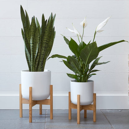 Lisbon Pot and Stand White 20.5Cm - Skandi London