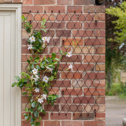 Outdoor Honeycomb Trellis Bronze H100cm W78cm - Skandi London