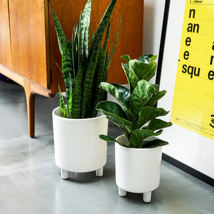 Pisa White Planter H19Cm D16Cm - Skandi London