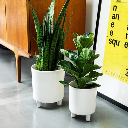 Pisa White Planter H24Cm D20Cm - Skandi London